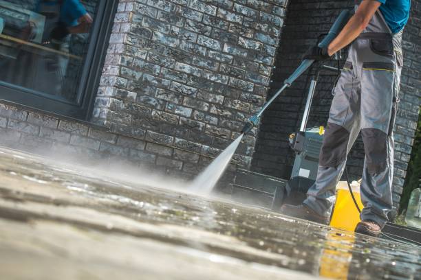 Best Roof Cleaning and Mildew Removal in Lanark, IL