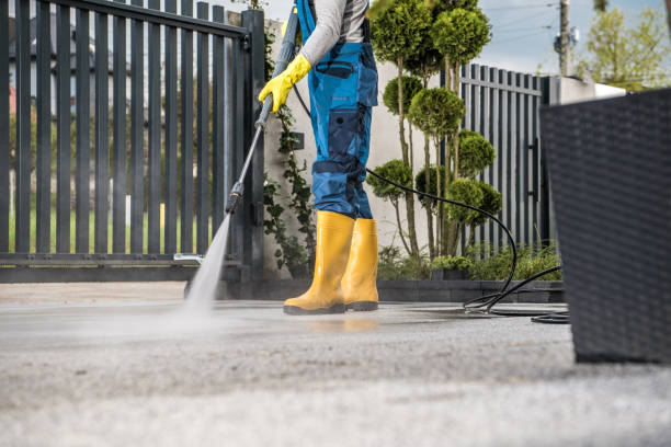 Best Building Exterior Pressure Washing in Lanark, IL